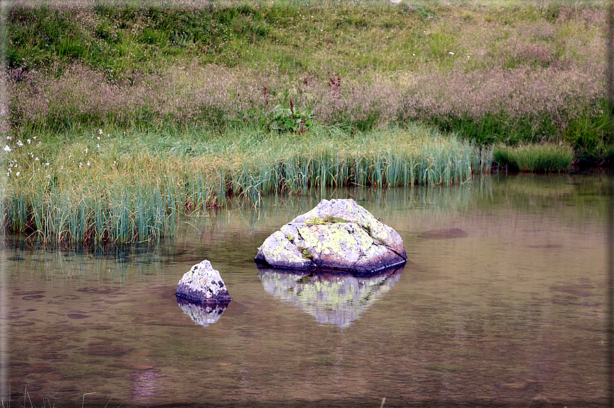 foto Lago di Montalon